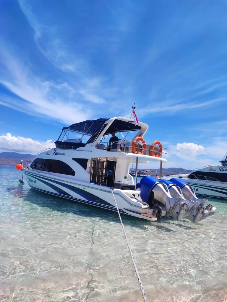 1 Day Komodo National Park- Trip by Luxury Boat -Join Group – Go Trav ...